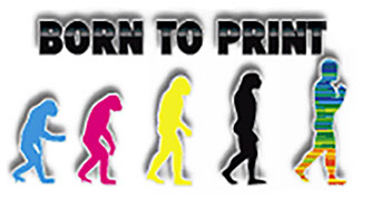 Logo_Color-Evolution