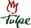 Tulpe-Logo-farbe-web2